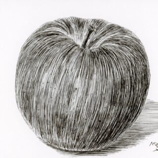 img006-2-scaled-e1711030177480